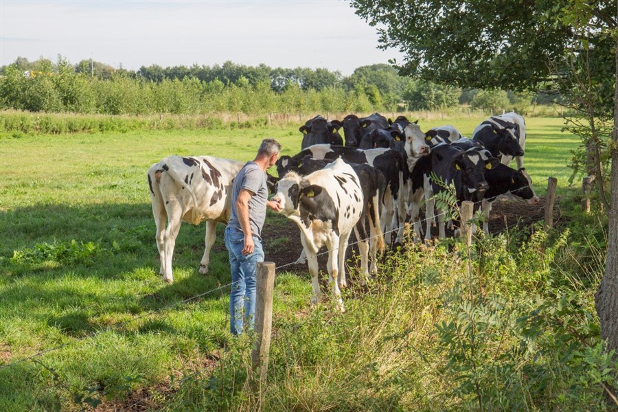 Bericht Agrariërs maken plan voor natuurvriendelijk boeren in De Peel bekijken