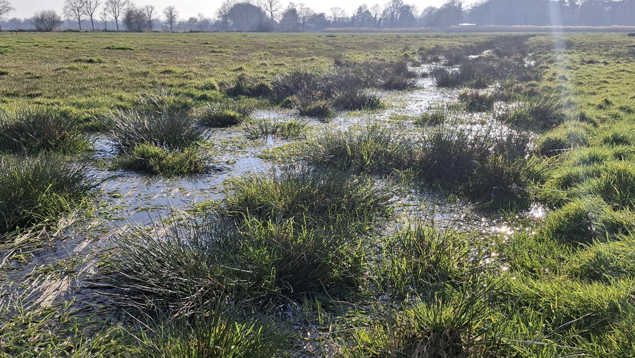 Foto: Waterschap De Dommel